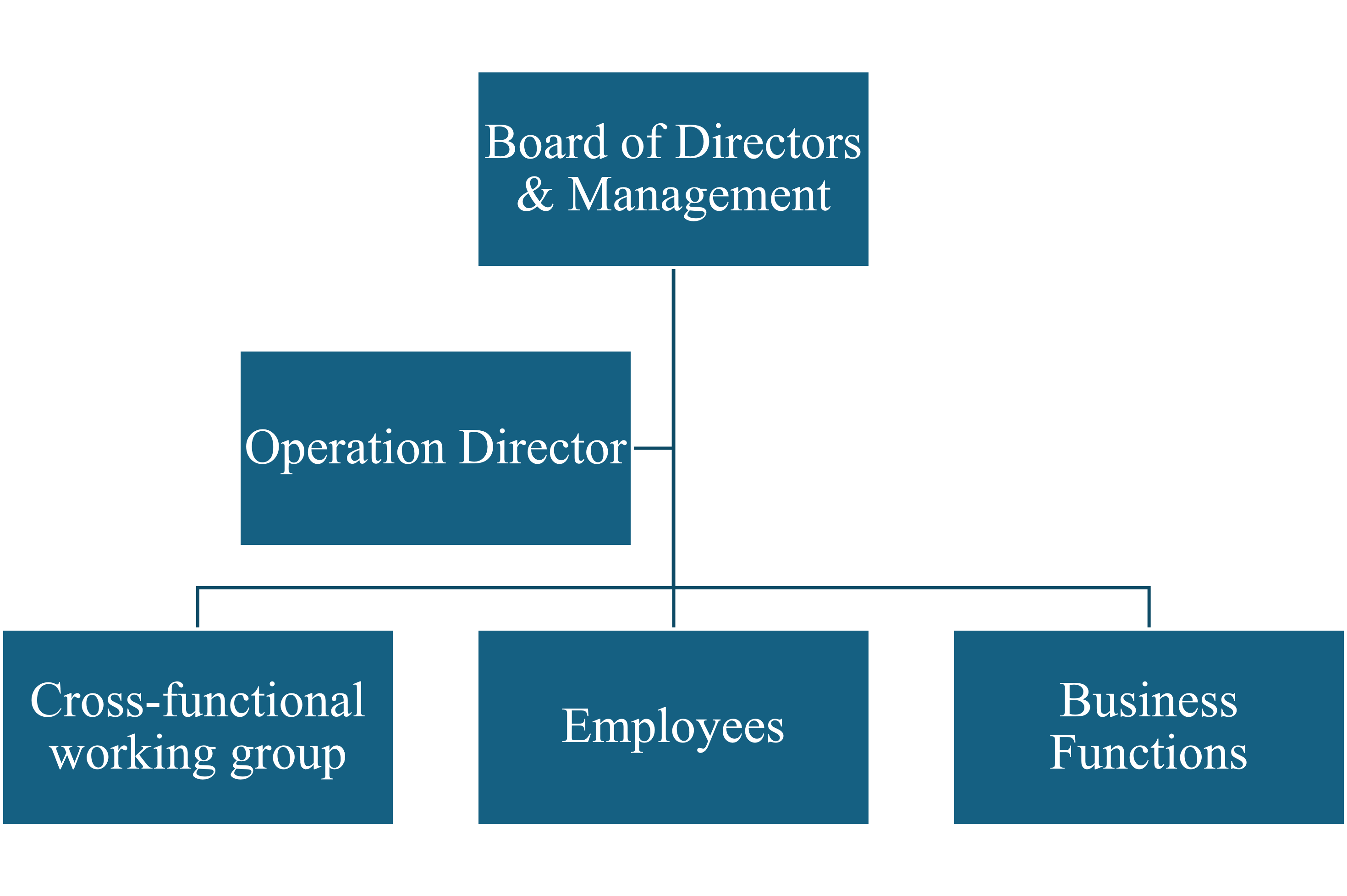 Sustainability Organisation Structure